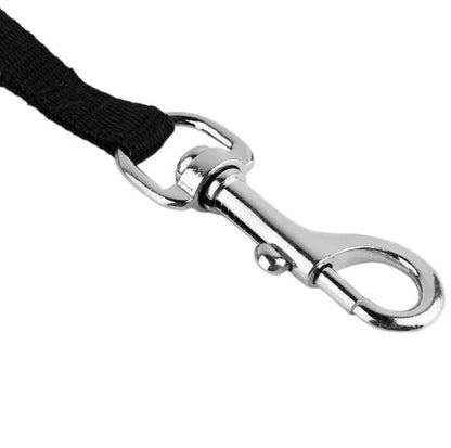 Leash for Dogs and Cats