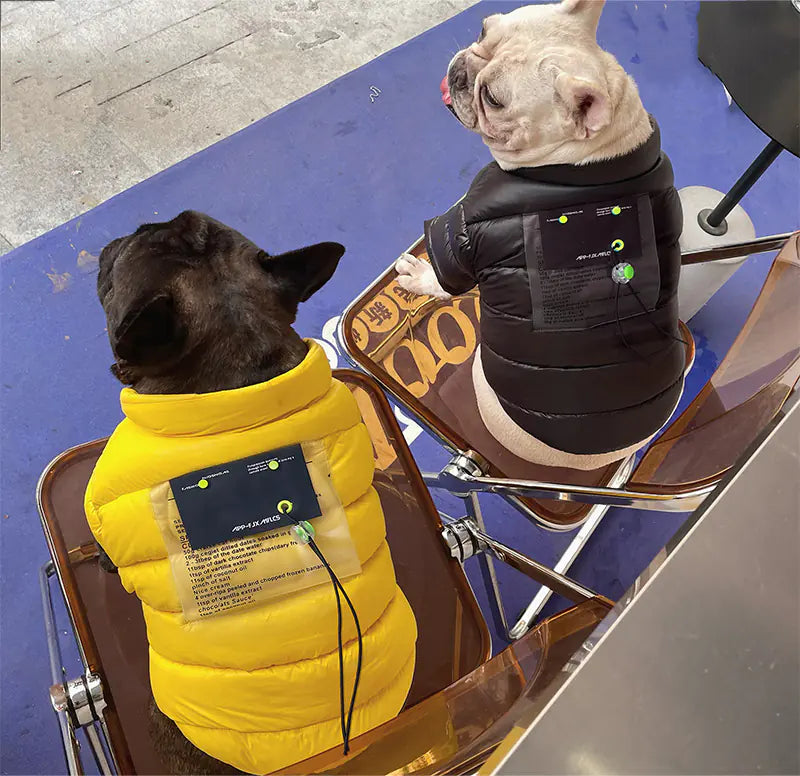 Warm Down Jacket for Small Dogs and Cats
